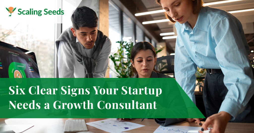 business expansion consulting USA